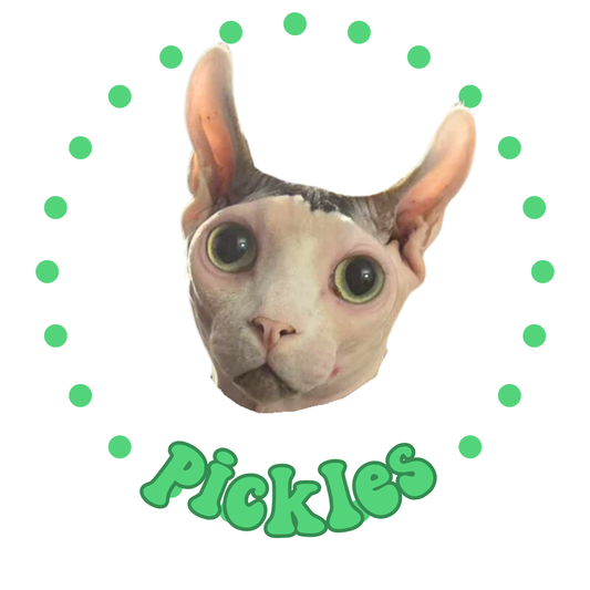 Custom Pet Button 2.25inch