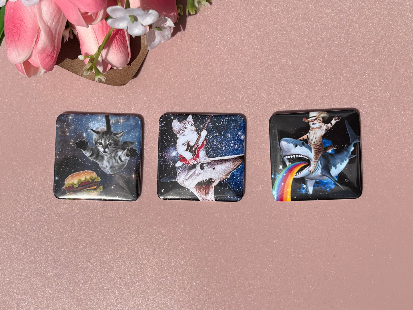 Funny Cat Magnets