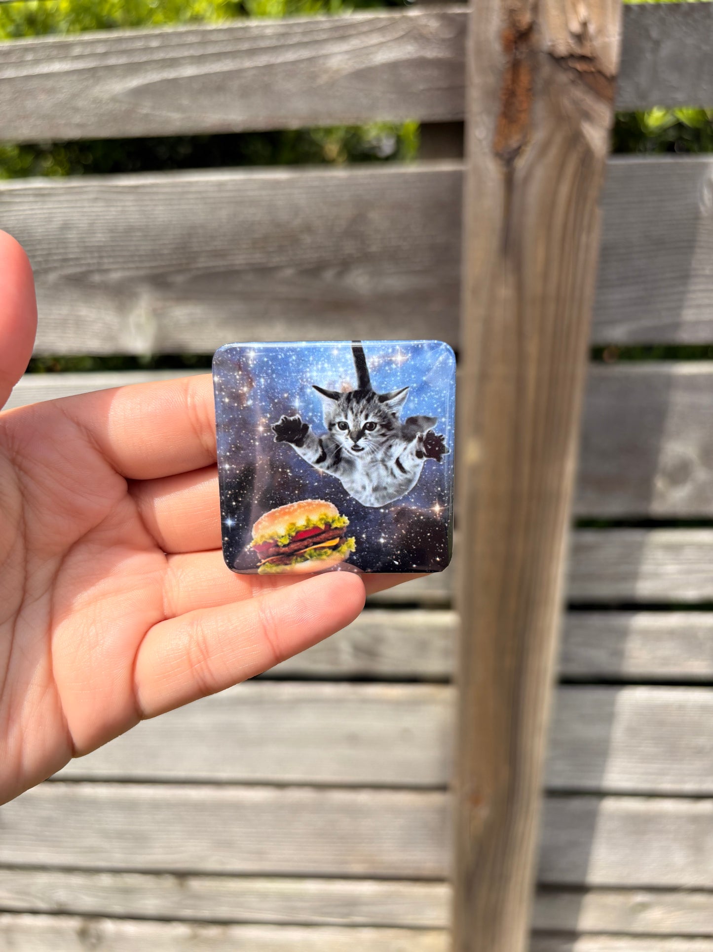 Funny Cat Magnets