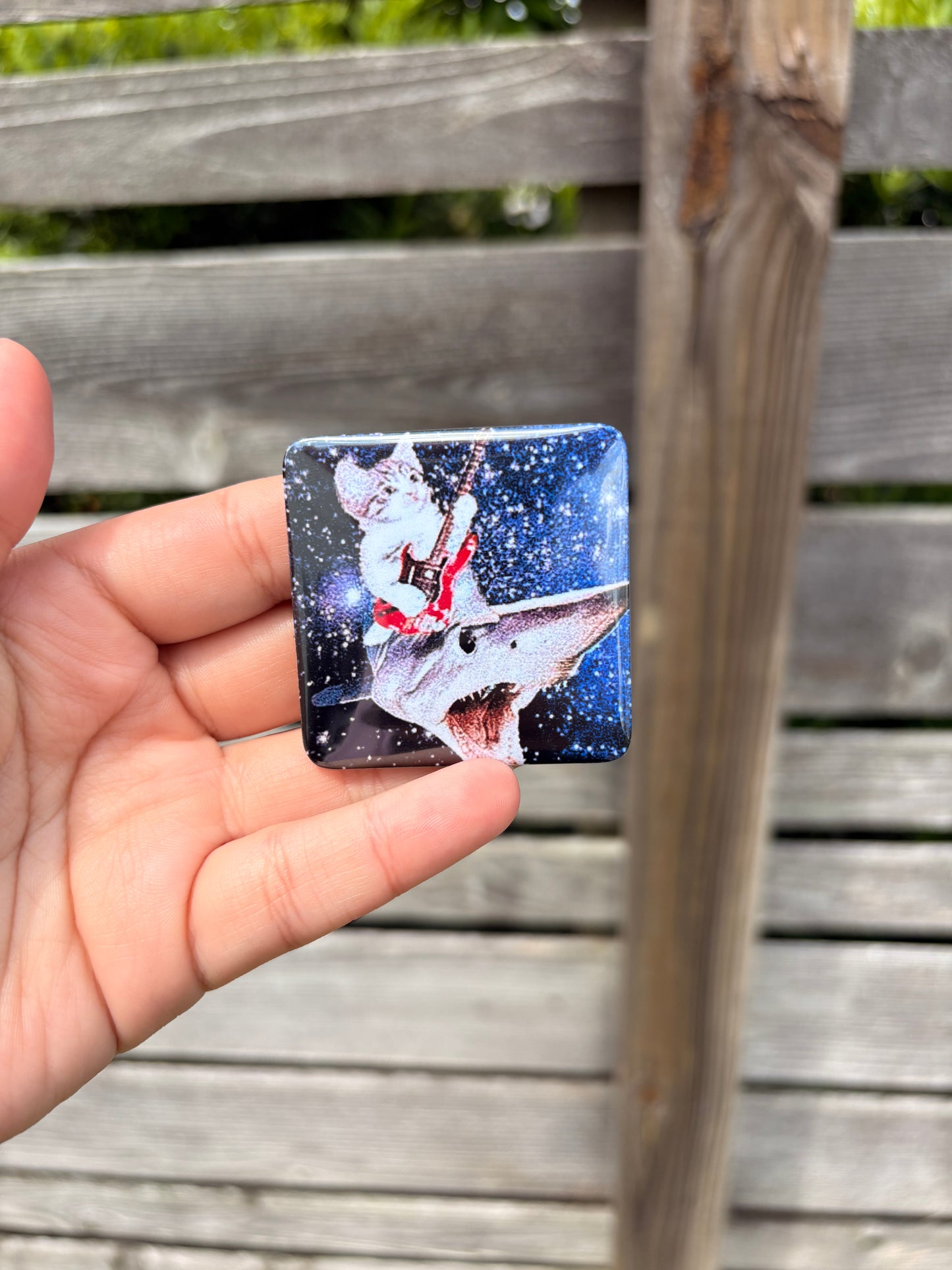 Funny Cat Magnets