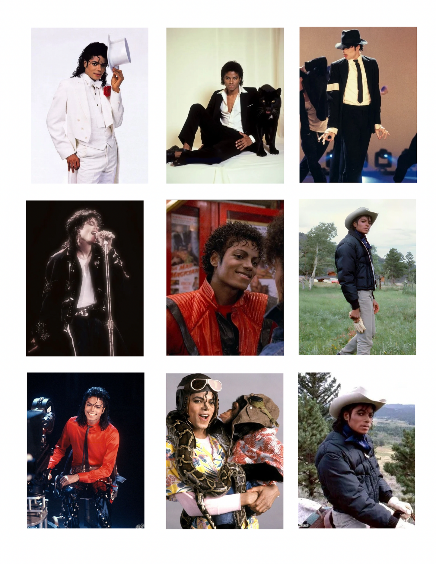 Michael Jackson 10- Pack Photocards